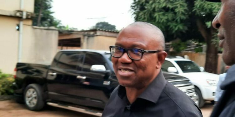Obi Has Over 60% Chance Of Emerging President — PDP Chieftain
