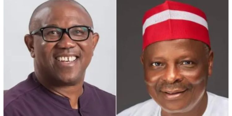 Tinubu’s ticket dead on arrival once Peter Obi, Kwankwaso work together – Kwankwasiyya spokesman