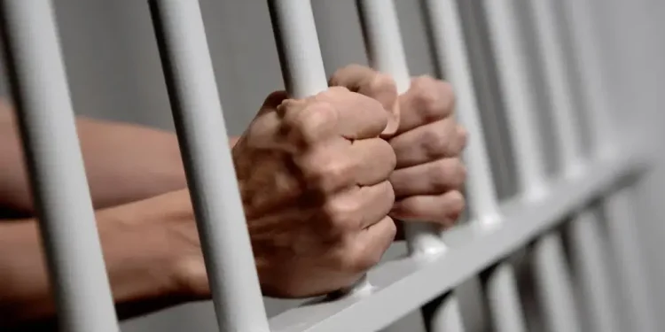 Court jails one for N22m fraud in Maiduguri