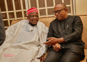 Peter Obi, Kwankwaso push for joint ticket in ADC, lobby northern leaders