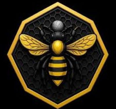 Ranchers Bees FC gain promotion to NPFL