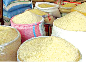 Rice farmers lament as increased imports cripple sector