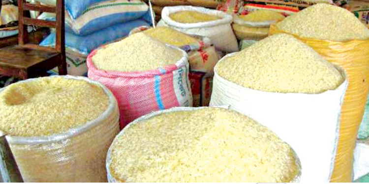 Rice farmers lament as increased imports cripple sector