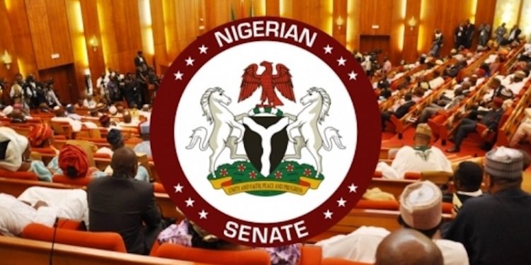 Senate Orders Military Audit, Manhunt as Terror Attacks Kill Soldiers, Civilians in Borno, Benue 