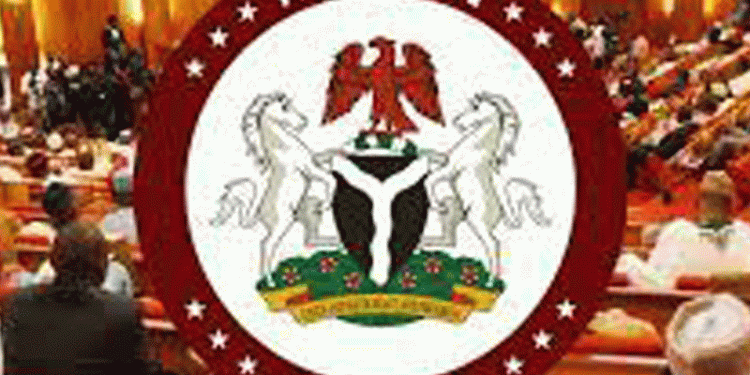 Senate Directs Military Audit, Manhunt for Perpetrators of Killings in Borno, Benue