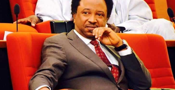 Shehu Sani Urges Kwara Governor to Drop Charges Against Saraki Over Offa Robbery Case