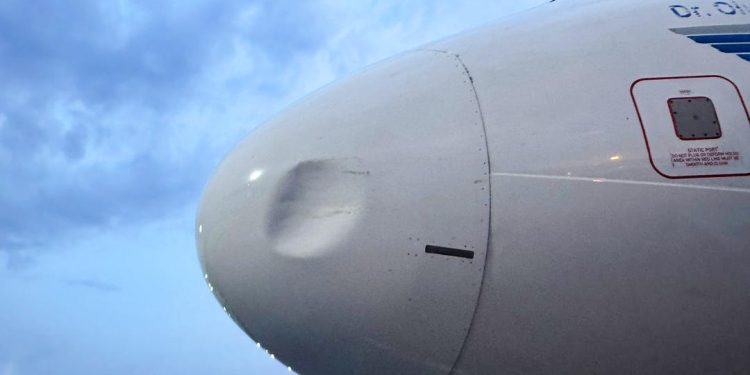 Third bird strike in 48 hours grounds United Nigeria aircraft, deepens disruption concerns