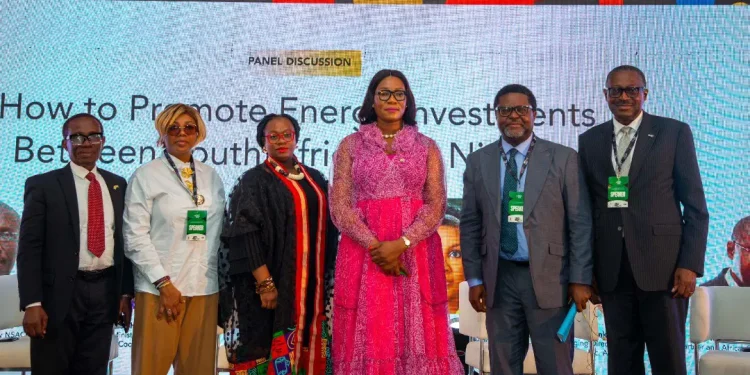 South Africa, Nigeria must deepen renewable energy ties to secure Africa’s future