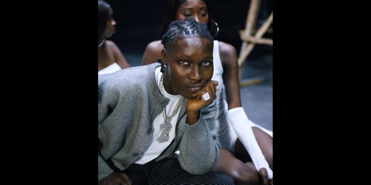 MUSIC REVIEW: Zinoleesky’s ‘Nostalgia’ signals change, but not full departure from Marlian sound