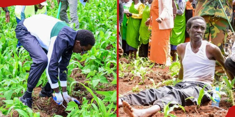 Kenyan man attempts to break world record for most trees planted by individual in 24 hours