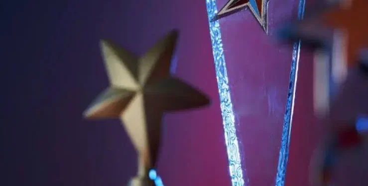 Adesina, Lawal, Abdul, Tunji-Ojo, Others headline London leadership awards