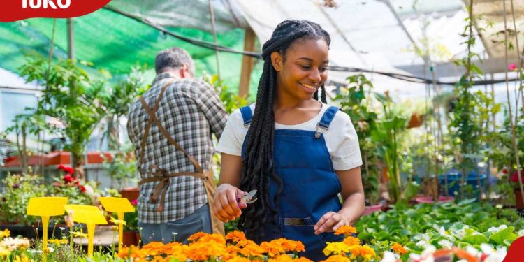 Expert shares 5 entry-level jobs in Australia that Kenyans can apply for today