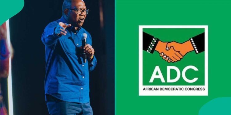 ADC Urged to Adopt Peter Obi as Consensus Candidate for 2027 Election
