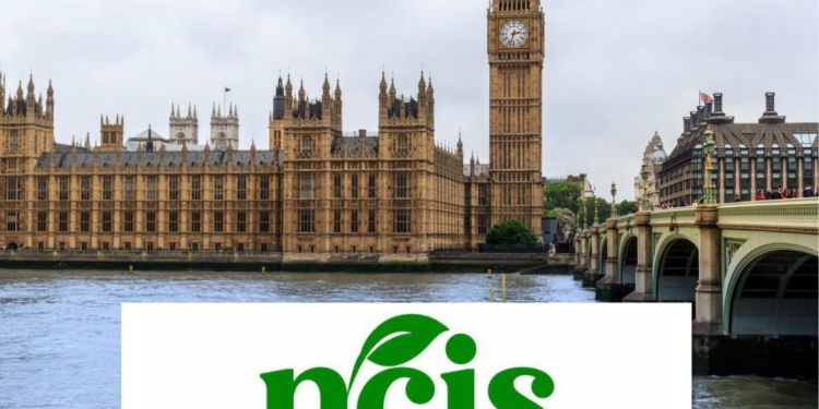 Commonwealth Secretariat, UN Agency, City of London, Others Back Nigeria’s Climate Investment Summit