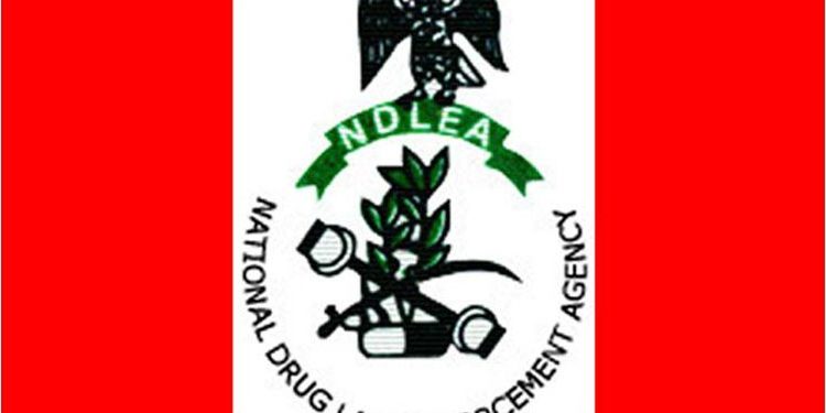 NDLEA intercepts cocaine hidden in food flasks at Lagos airport