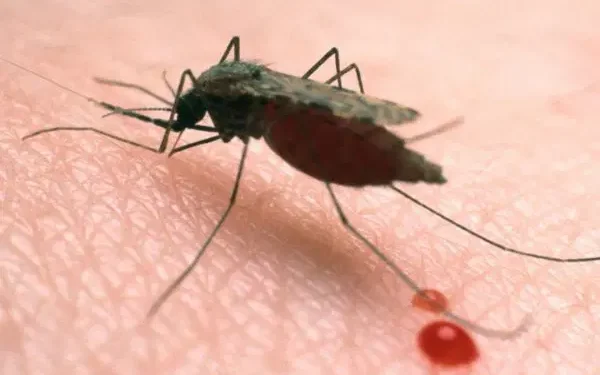 Benue strengthens anti-malaria fight, targets children with 2026 SMC Campaign