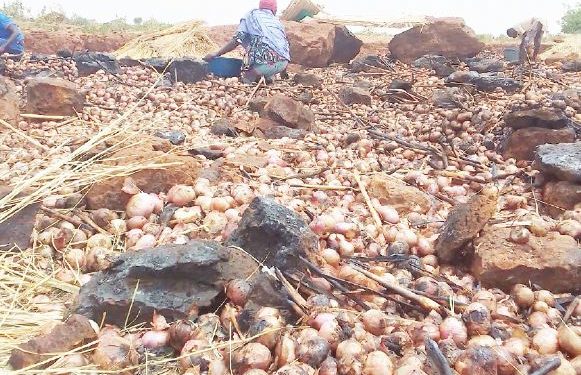 Sokoto farmers count losses as fire razes 2,275 bags of onions