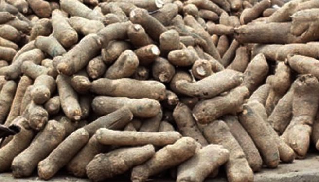 Yam prices rise in Lagos, consumers lament