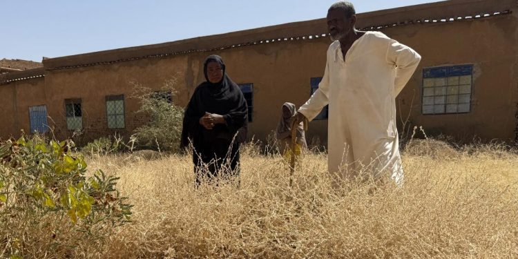 War has turned this African capital into a city of graves